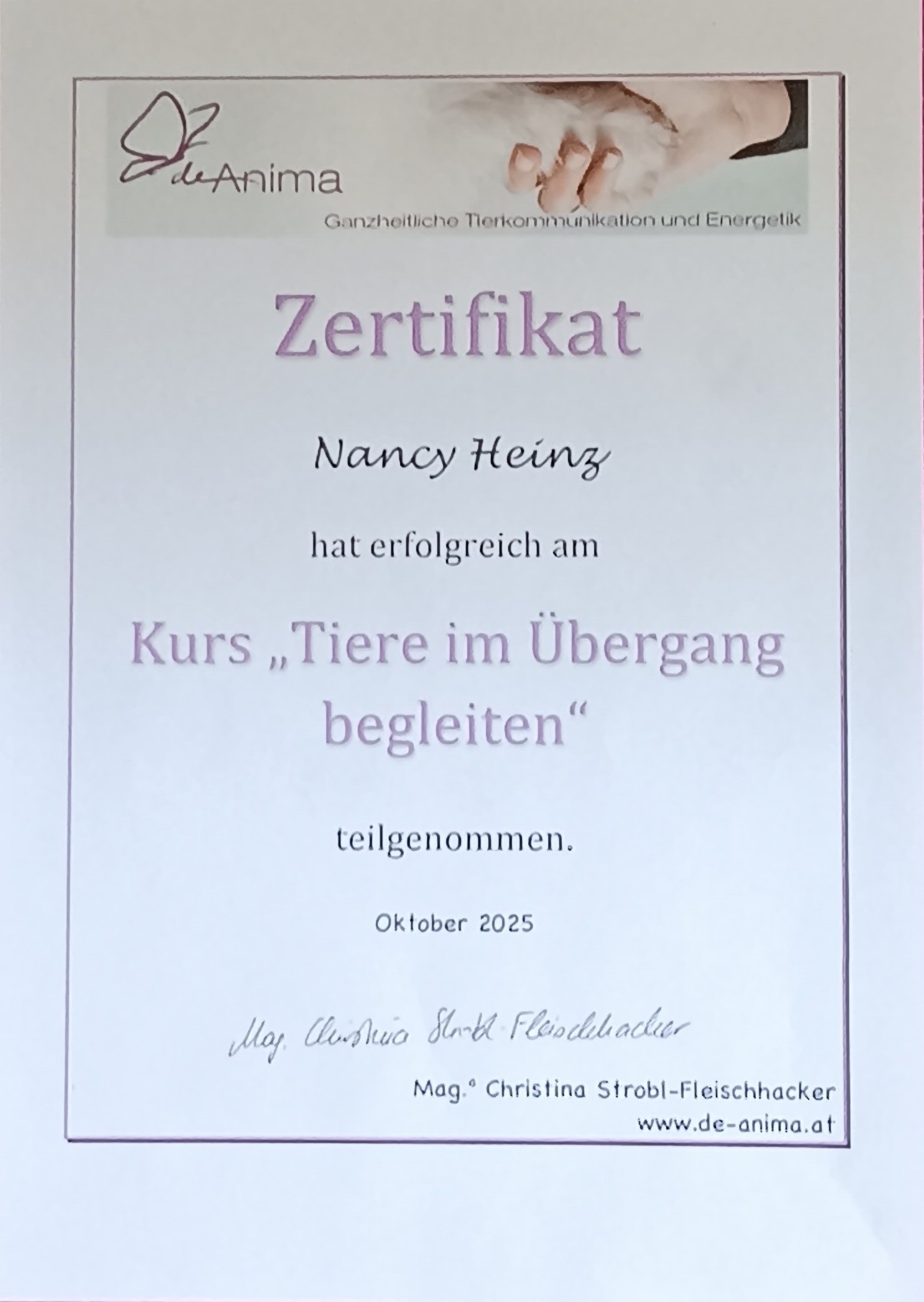 Zertifikat Tiere im Übergang begleiten