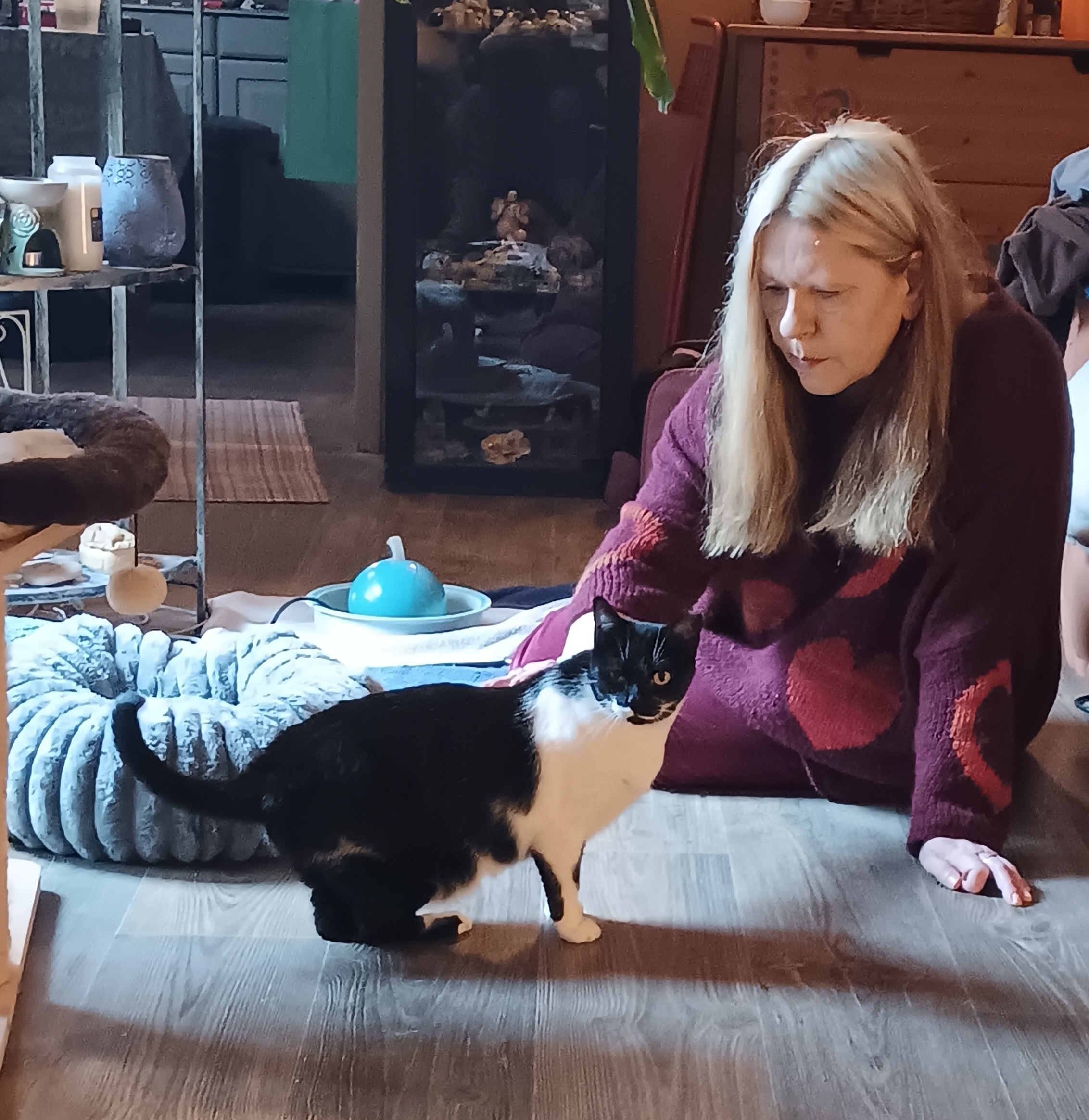 Katzentherapeutin Mainz